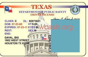 create drivers license template